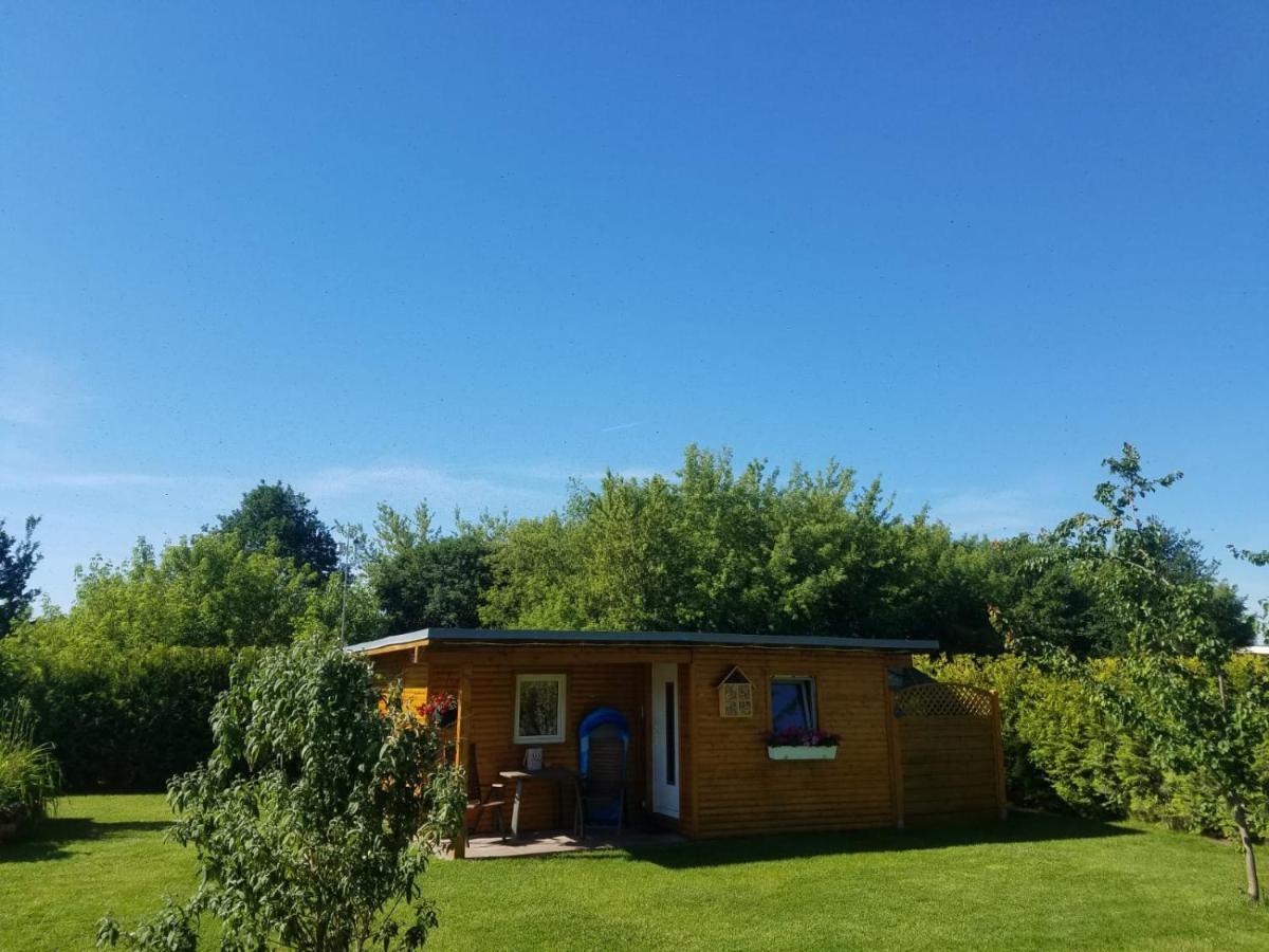 Ferienhaus Zum Imker Фельтен Экстерьер фото